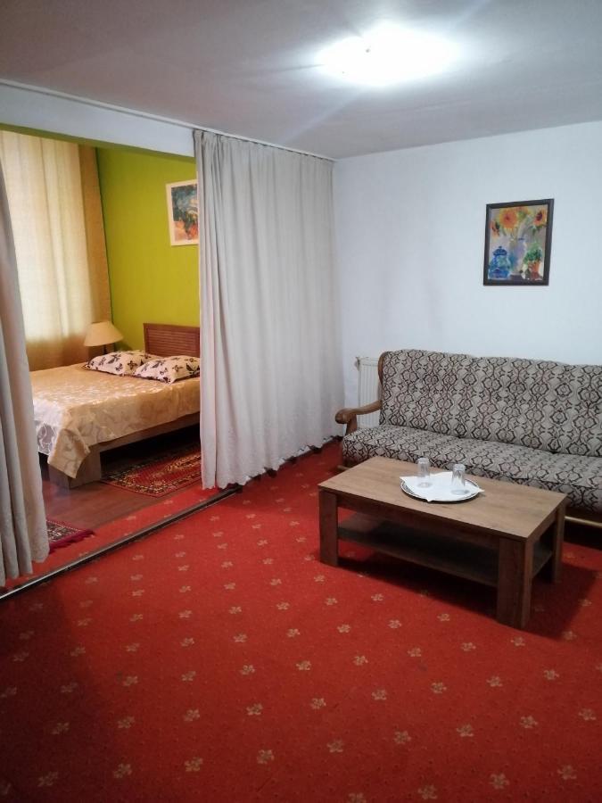 בוטוסאני Hotel Rares מראה חיצוני תמונה